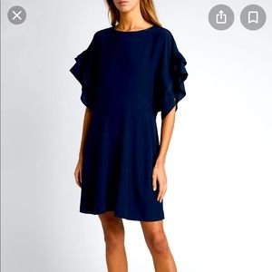 Chloé Navy Ruffle Sleeve Dress